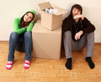 Household removals support with van transport